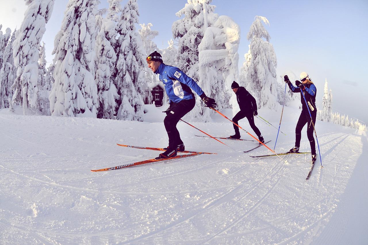Vuokatti Sport Chalets Extérieur photo